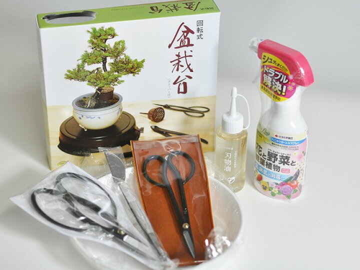 楽天市場】盆栽道具7点セット 盆栽はさみ 小枝切りはさみ 刃物油 盆栽 