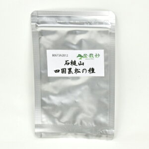 ~͂̎ ΒȎR l̎ 10 q 킩Ă~͍qt