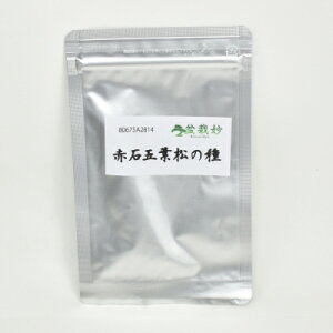 ~͂̎ ԐΌܗt̎ 6 q 킩Ă~͍qt