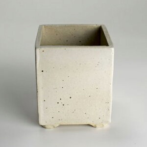 ~͔ 3.5 pPKC 9cm×11cm 