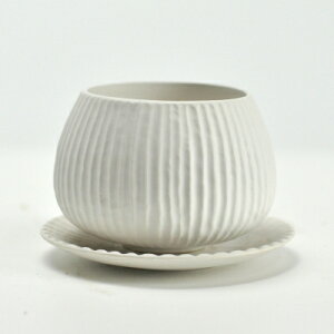 ~͔ sX{E y󂯎Mtz10.5cm×7.5cm/7.5cm 