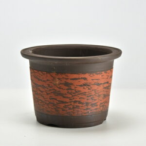 ~͔ Ef鏼牱^ 5 17cm×11`12cm 