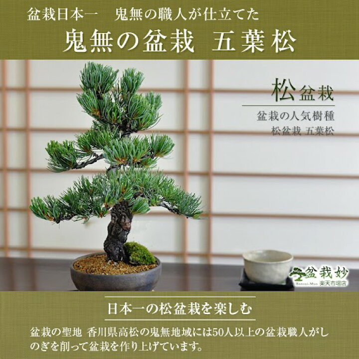 楽天市場】【スーパーSALE 店内ほぼ全品半額 通常価格18,000円が】ミニ  