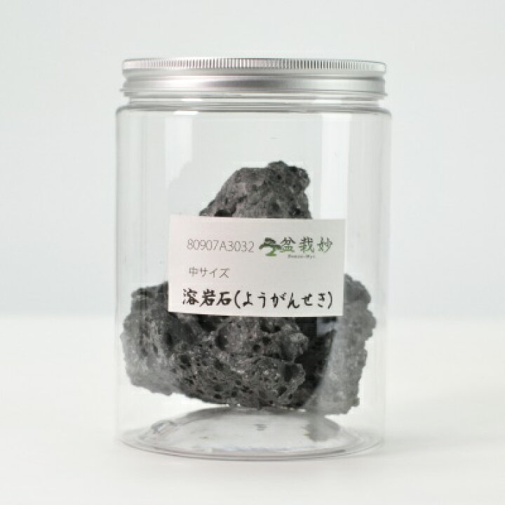 楽天市場】溶岩石(ようがんせき)中サイズ テラリウム アクアリウム 