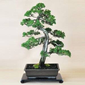 ~ IB^@ЕX WV ^ ^~ ̊ ڎ a  _ɗ Mtg v[g 蕨 i j JX I[v JXj