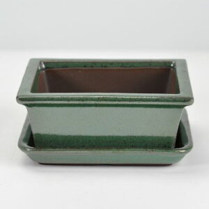 ~͔ ~j~͔ yˏāzIx4.5pؑ@󂯎Mt R쑐 픫 a ` p