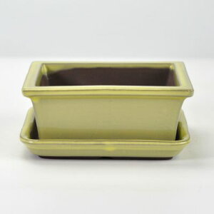 ~͔ ~j~͔ yˏāz4.5pؑ@󂯎Mt R쑐 픫 a ` p