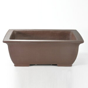 紫泥長方中深 盆栽鉢20号 鉢幅60cm×奥行き43cm×高さ22cm 大型鉢 大型盆栽 大品盆栽 泥物