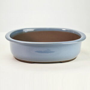 盆栽鉢 山野草鉢 瀬戸焼 キンヨー小判エン付10号 幅30cm×高さ8.5cm