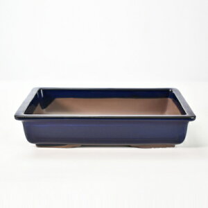 ~͔ R쑐 ˏ qp}h 8 25cm×5.5cm