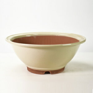 ~͔ R쑐 Ï N[X 11 34.5cm×14cm