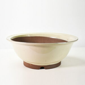 ~͔ R쑐 Ï N[X 12 37cm×14.5cm