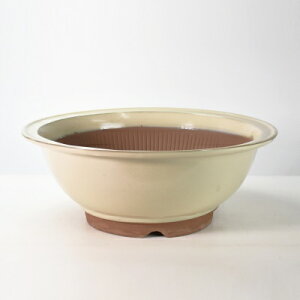 ~͔ R쑐 Ï N[X 14 44cm×16.5cm