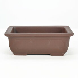 盆栽鉢 植木鉢 瀬戸焼 ウ泥長角マド入 5号 幅16.5cm×高さ6cm 陶器鉢