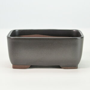 ~͖yˏāz ifp 4.5 }bg 13.8cm×s9.4cm×5.6cm R쑐 ϗtA A ` p