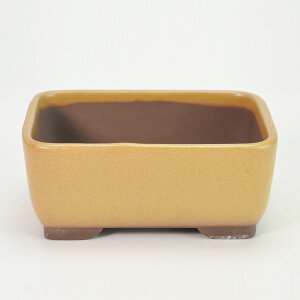 ~͖yˏāz ifp 4.5  13.8cm×s9.4cm×5.6cm R쑐 ϗtA A ` p