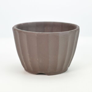 ~͖yˏāz e^ 3 ED 9.8cm×6.5cm ~͔ R쑐 Aؔ ی`  ~ R쑐 ϗtA A