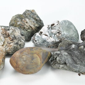 飾り石 伊予の青石(小～中)3個セット 水石 テラリウム アクアリウム レイアウト石 レイアウトストーン 自然石 愛媛県