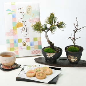 ~ ~j~ aO~NbL[Əƒ~̃yAZbg Mtg Mtg v[g A XC[c Ăَq bonsai ̓