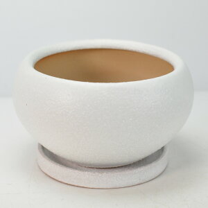 Aؔ l[A _ۋʔ 󂯎Mt zCg 5 15.5cm×8.5cm ϗtA A ~j~ bonsai R쑐 A