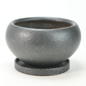 Aؔ l[A _ۋʔ 󂯎Mt ubN 5 15.5cm×8.5cm ϗtA A ~j~ bonsai R쑐 A