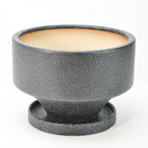 Aؔ V _۔ 󂯎Mt ubN 5 15cm×10cm ϗtA A ~j~ bonsai R쑐 A