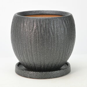 Aؔ tHe _۔  󂯎Mt ubN 5 14cm×12cm ϗtA A ~j~ bonsai R쑐 A
