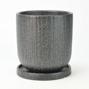 Aؔ [e _ې[  󂯎Mt ubN 4 12.5cm×13cm ϗtA A ~j~ bonsai R쑐 A