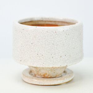 Aؔ [ zCg  3 󂯎Mt 10cm×8.5cm ϗtA A ~j~ bonsai R쑐 A