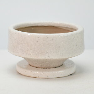 Aؔ [ zCg  4 󂯎Mt 12.5cm×6.5cm ϗtA A ~j~ bonsai R쑐 A