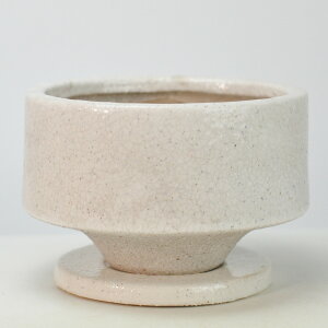 Aؔ [ zCg  5 󂯎Mt 15.5cm×10cm ϗtA A ~j~ bonsai R쑐 A