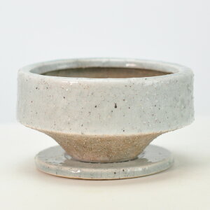 Aؔ [ O[  4 󂯎Mt 12.5cm×6.5cm ϗtA A ~j~ bonsai R쑐 A