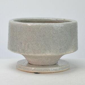 Aؔ [ O[  5 󂯎Mt 15.5cm×10cm ϗtA A ~j~ bonsai R쑐 A