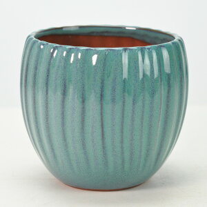 Aؔ ې[_ 4 gRu[ 11cm×11cm ϗtA A ~j~ bonsai R쑐 A