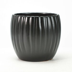 Aؔ ې[_ 5 }bgubN 14.5cm×13.4cm ~ ϗtA A 