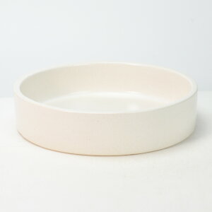  My ی^ 8 i`}bg 24.5cm×6cm  Ԋ rIg[v t[eBOt[