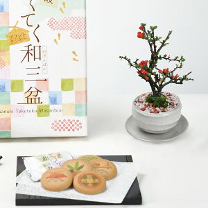 hV̓ ~ ~j~ga(󂯎Mt)ƘaO~NbL[Zbg ~j~ Mtg v[g 蕨 A  XC[c Ăَq bonsai