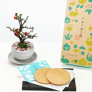 hV̓ ~ ~j~ga(󂯎Mt)ƘaO~S[tbgZbg ~j~ Mtg v[g 蕨 A  XC[c Ăَq bonsai