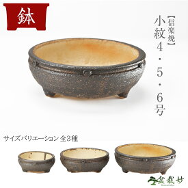 盆栽鉢 山野草鉢 信楽焼 小紋 4号 5号 6号 陶器鉢 信楽焼鉢 鉢 浅鉢 盆栽用 寄せ植え 植え替え 和風 植木鉢 和鉢 山野草 ミニ盆栽 〜 小品盆栽 松柏 花もの 実もの 雑木