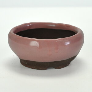 ~͔ Aؔ Ï sN3.5S 11cms11cm4.8cm R쑐 ϗtA A ~` 