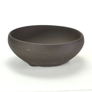 ~͔ Aؔ ˏ ED7.5S 23.7cms23.7cm8.5cm R쑐 ϗtA A ~` 