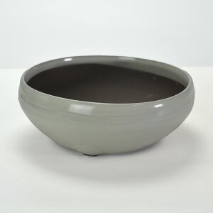 ~͔ Aؔ ˏ N[7.5S 23.7cms23.7cm8.5cm R쑐 ϗtA A ~` 