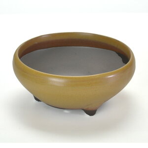 ~͔ Aؔ ˏ 5S 15.7cms15.7cm6.7cm R쑐 ϗtA A ~` 