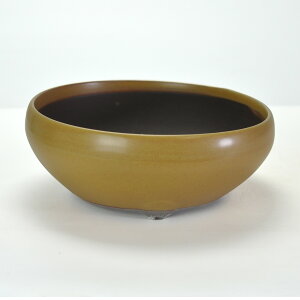 ~͔ Aؔ ˏ 7.5S 23.7cms23.7cm8.5cm R쑐 ϗtA A ~` 