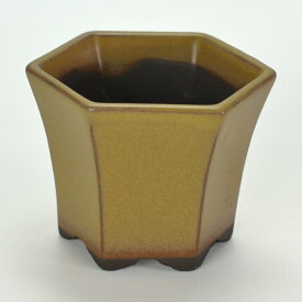 盆栽鉢 植木鉢 瀬戸焼 黄2.5号六角ケンガイ 幅8cm奥行き8cm高さ6cm 山野草鉢 観葉植物 多肉植物 六角形