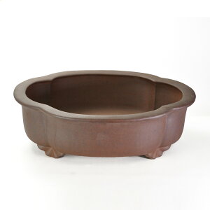 盆栽鉢 植木鉢 ウ泥変形深鉢 20号 幅61cm×奥行き49cm×高さ19.5cm大型鉢 大品盆栽