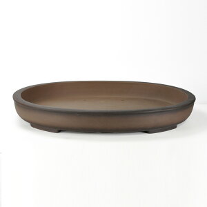 盆栽鉢 植木鉢 ウ泥小判型浅鉢22号 幅66cm×奥行き56.5cm×9cm大型鉢 大品盆栽