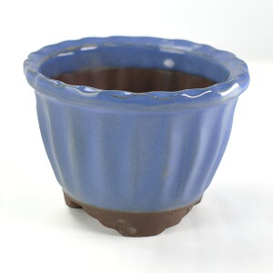 ~͔ Ï L[3.5 11cms11cm7.8cm Aؔ R쑐 픫 ~ ۖ~ ϗtA A