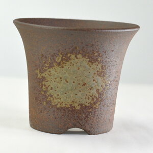 ~͔ Ï r[h3.5 bp 11cms11cm9cm Aؔ R쑐 픫 ~ ۖ~ ϗtA A