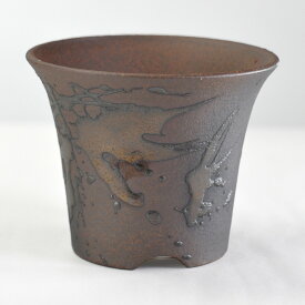 盆栽鉢 万古焼 金彩3.5号 ラッパ 幅11cm奥行11cm高さ9cm 植木鉢 山野草鉢 陶器鉢 盆栽 苔盆栽 観葉植物 多肉植物